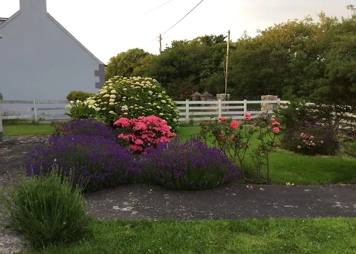 Alloggio in famiglia Kings